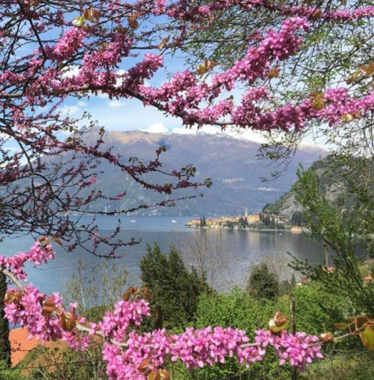 La Punta Di Varenna Exterior photo